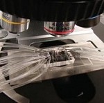 Создан наночип с лабораторией для идентификации рака