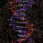 Рак кишечника вызывают «мусорные ДНК»